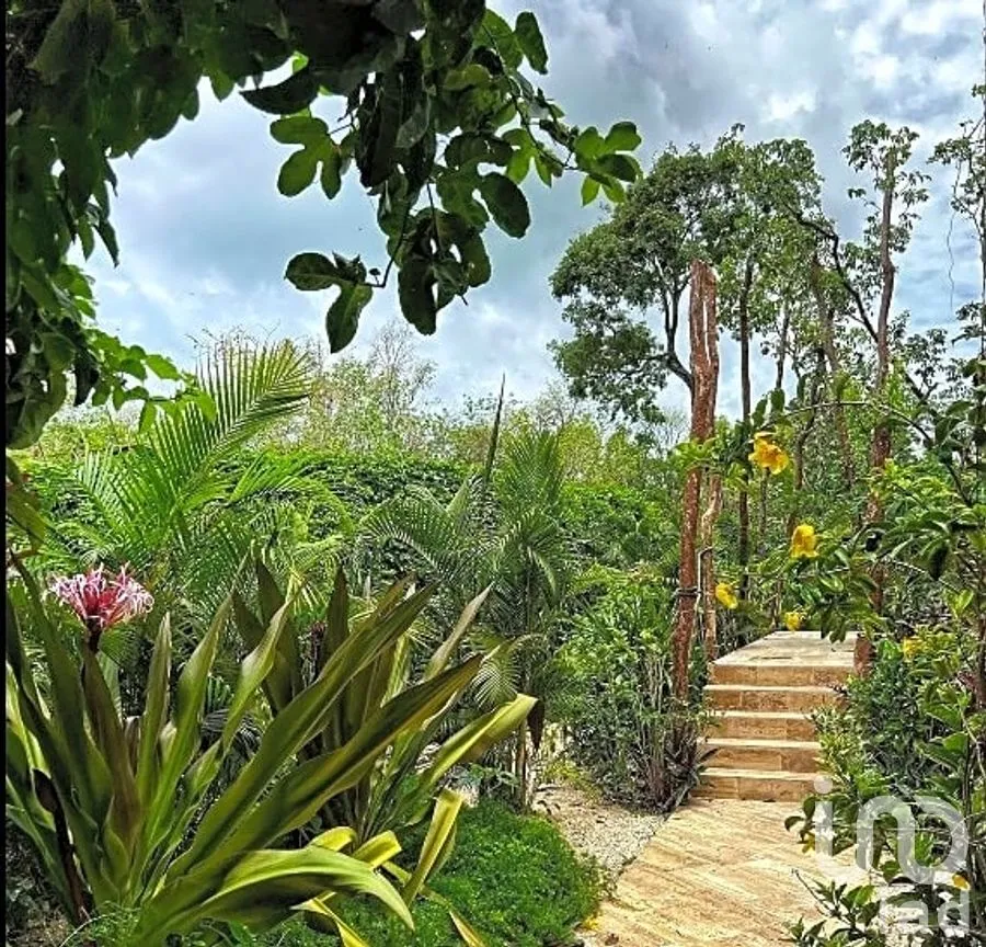 Departamento en Venta en La Veleta, Tulum, Quintana Roo | NEX-262028 | iad México | Foto 12 de 22
