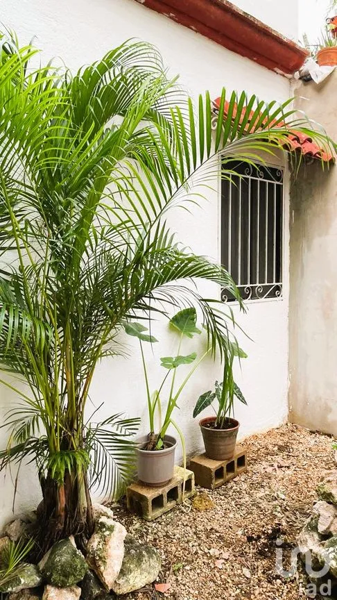 Casa en Venta en Villas Tulum, Tulum, Quintana Roo | NEX-263437 | iad México | Foto 3 de 23