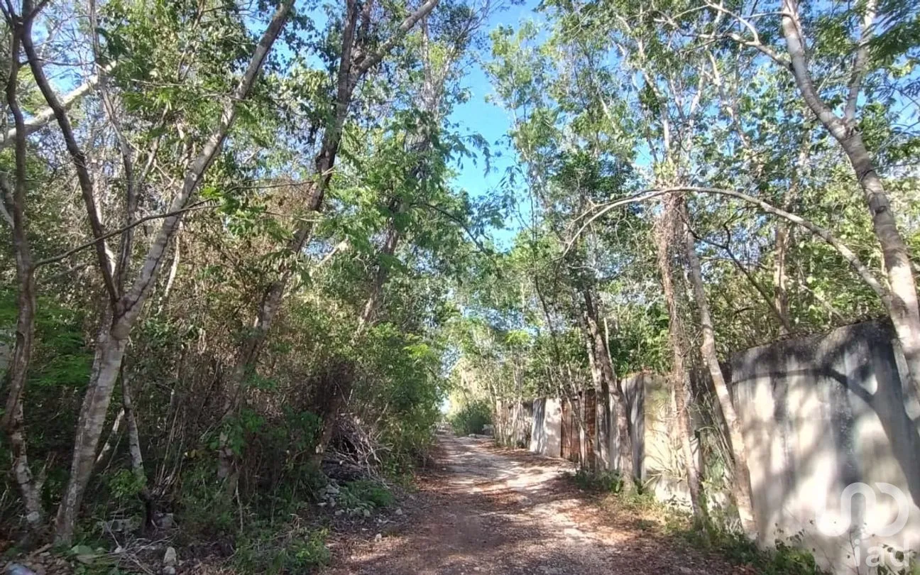 Terreno en Venta en La Veleta, Tulum, Quintana Roo | NEX-301059 | iad México | Foto 6 de 7
