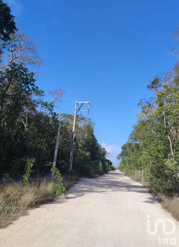 Terreno en Venta en La Veleta, Tulum, Quintana Roo | NEX-301059 | iad México | Foto 3 de 6
