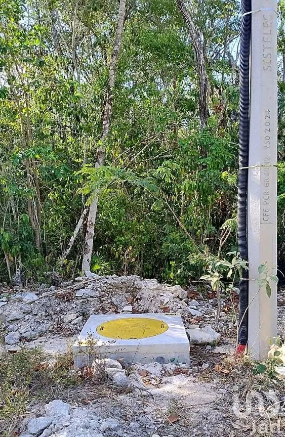 Terreno en Venta en La Veleta, Tulum, Quintana Roo | NEX-301059 | iad México | Foto 4 de 6