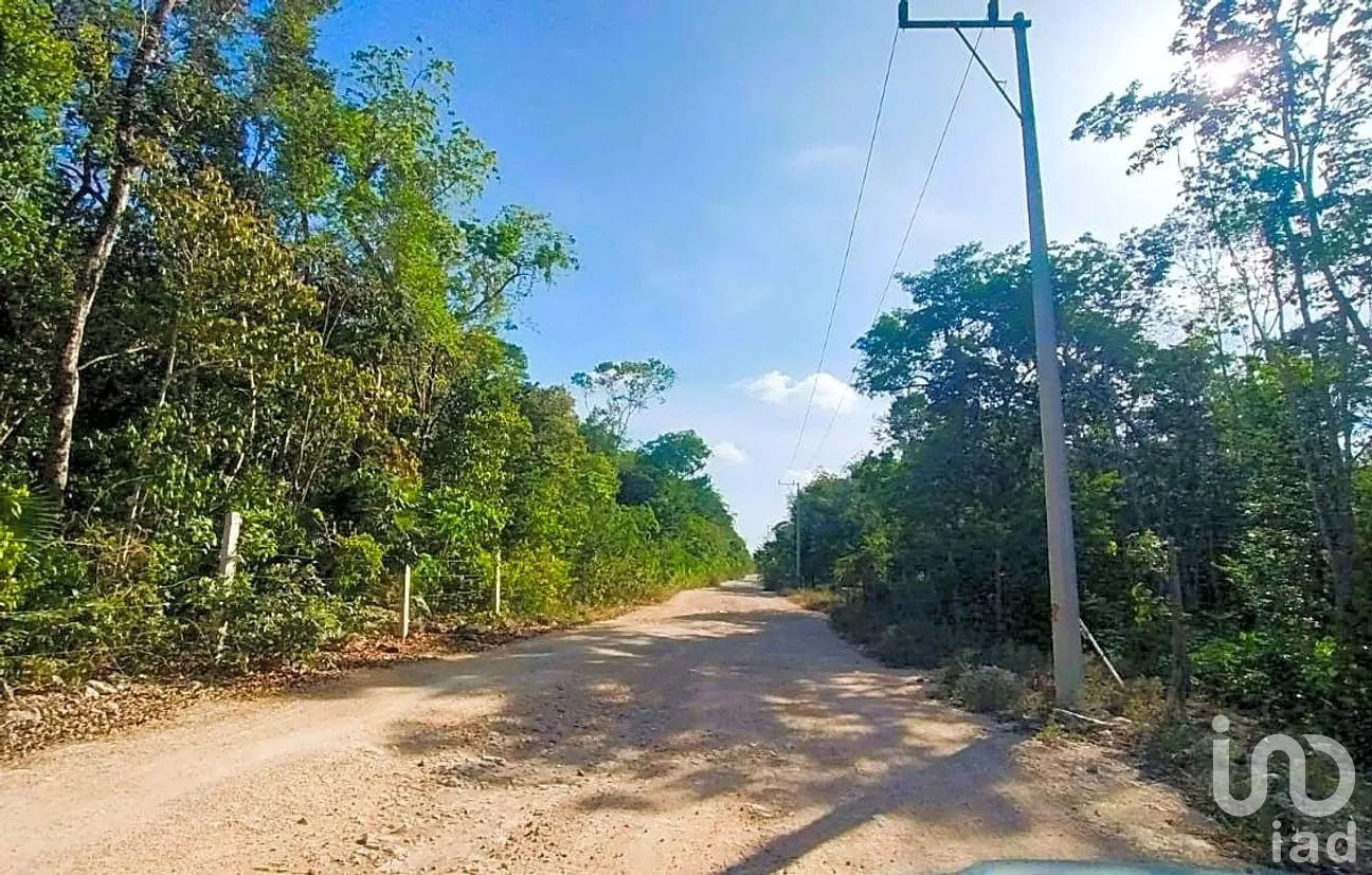 Terreno en Venta en La Veleta, Tulum, Quintana Roo | NEX-301059 | iad México | Foto 5 de 6