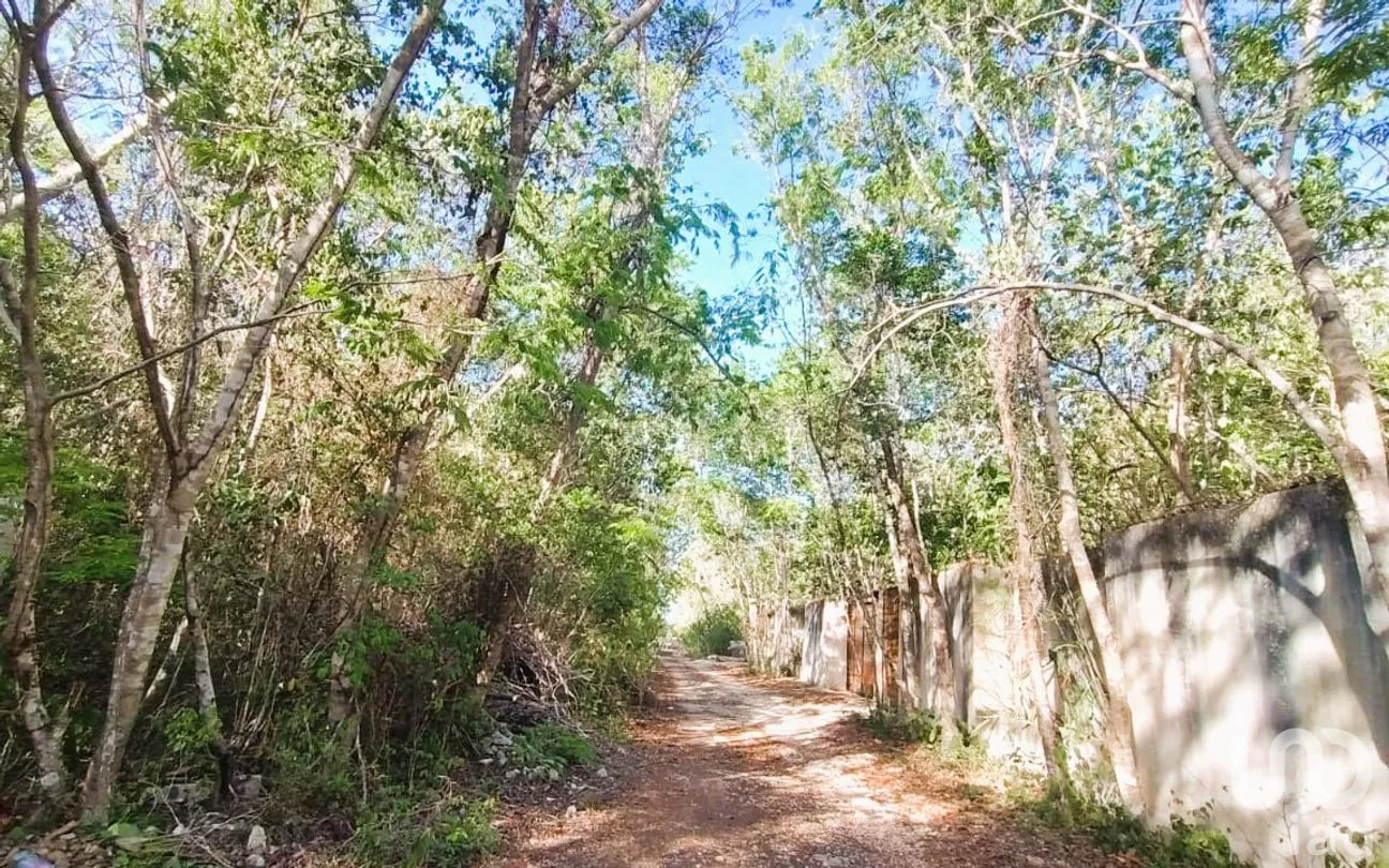 Terreno en Venta en La Veleta, Tulum, Quintana Roo | NEX-301059 | iad México | Foto 6 de 6