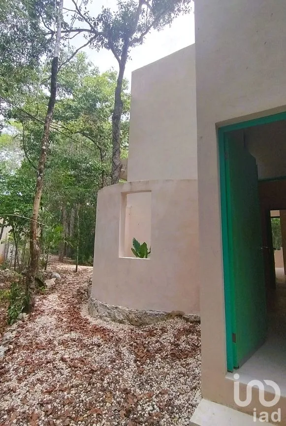 Casa en Venta en Manuel Antonio Ay, Tulum, Quintana Roo | NEX-304592 | iad México | Foto 13 de 32