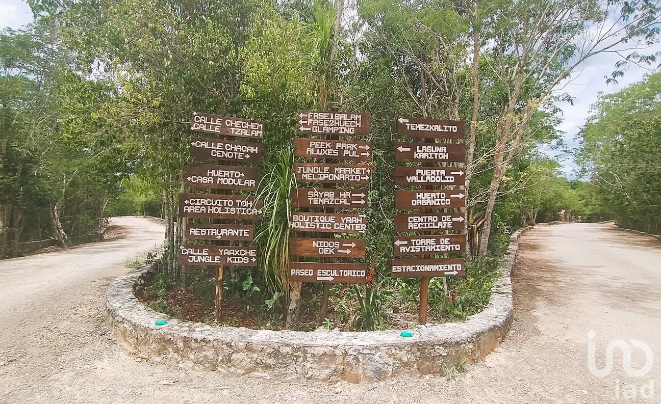 Casa en Venta en Manuel Antonio Ay, Tulum, Quintana Roo | NEX-304592 | iad México | Foto 31 de 32