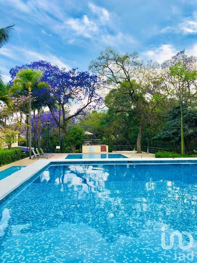 Departamento en Renta en Analco, Cuernavaca, Morelos | NEX-249343 | iad México | Foto 19 de 22