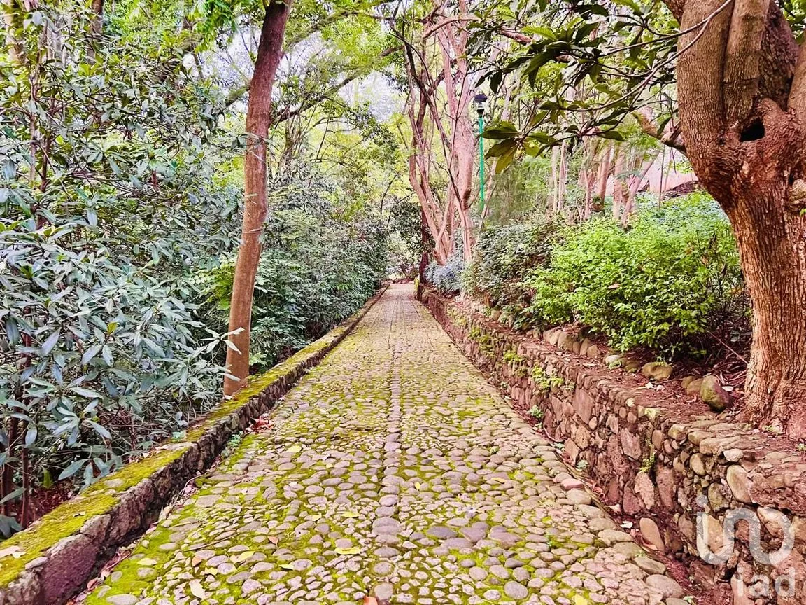 Departamento en Renta en Analco, Cuernavaca, Morelos | NEX-249343 | iad México | Foto 21 de 22