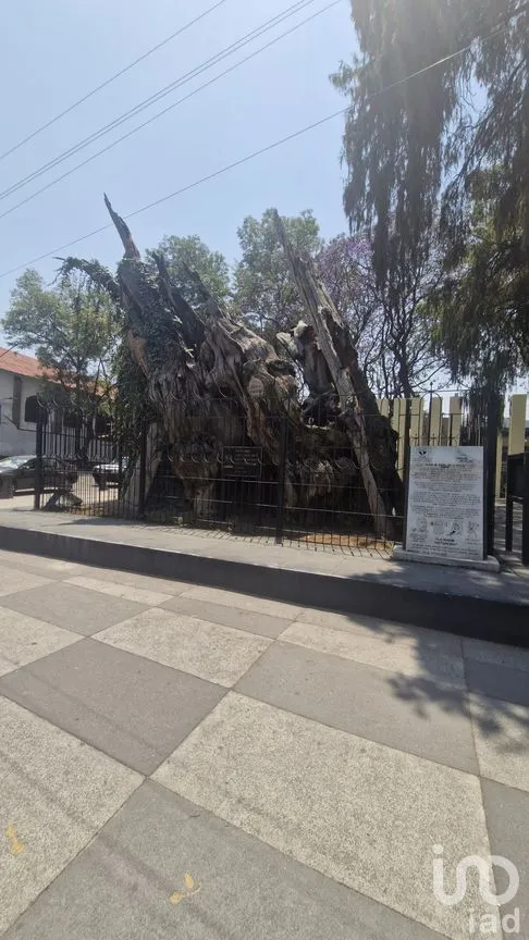 Terreno en Renta en Popotla, Miguel Hidalgo, Ciudad de México | NEX-150272 | iad México | Foto 9 de 9