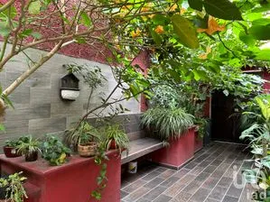 NEX-192096 - Departamento en Renta, con 1 recamara, con 1 baño, con 30 m2 de construcción en Argentina Poniente, CP 11230, Ciudad de México.
