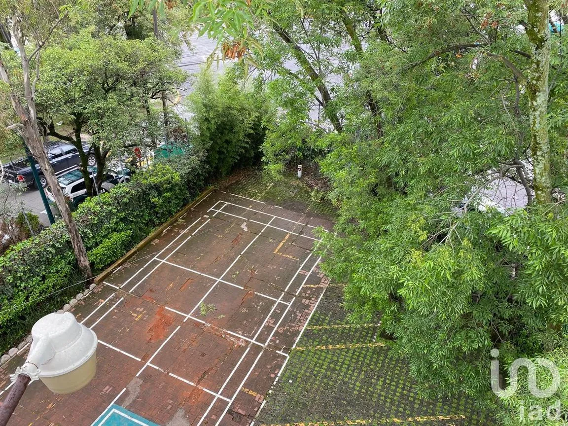 Local en Renta en Lomas de Chapultepec IV Sección, Miguel Hidalgo, Ciudad de México | NEX-283824 | iad México | Foto 18 de 18