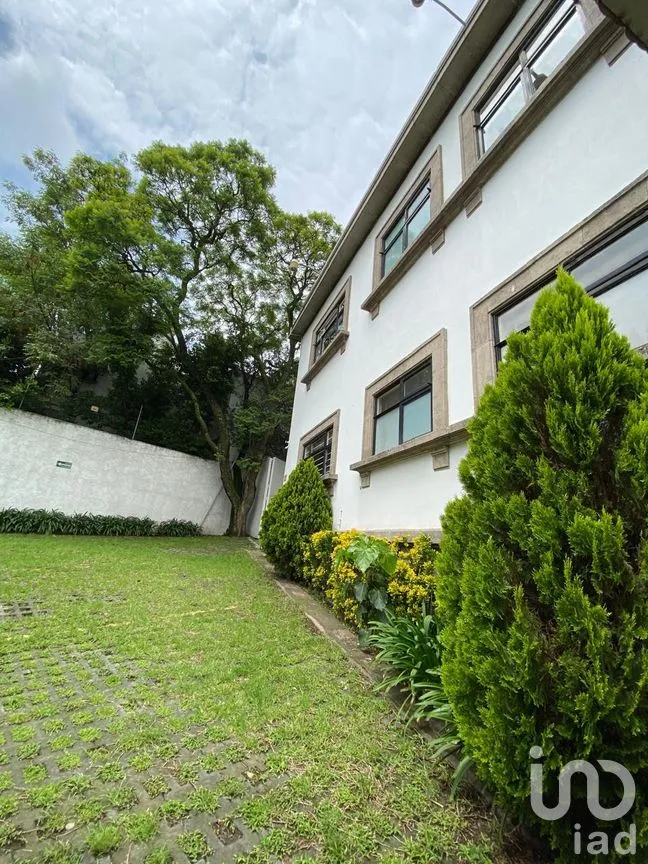 Local en Renta en Lomas de Chapultepec IV Sección, Miguel Hidalgo, Ciudad de México | NEX-283824 | iad México | Foto 3 de 18