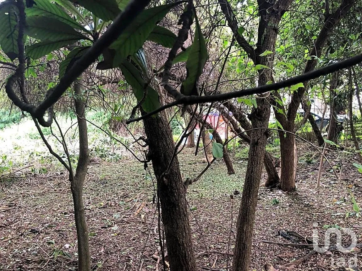 Terreno en Venta en Ahuatepec, Cuernavaca, Morelos | NEX-234252 | iad México | Foto 2 de 10