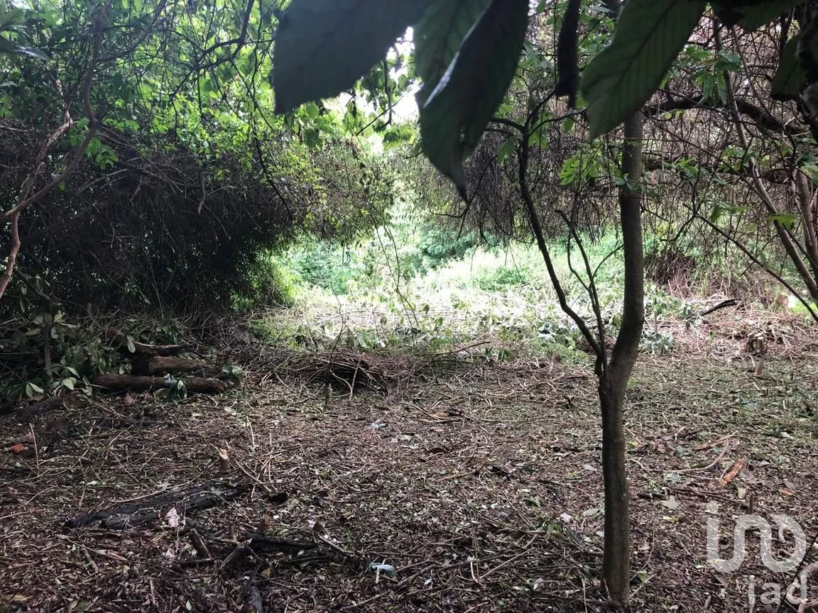Terreno en Venta en Ahuatepec, Cuernavaca, Morelos | NEX-234252 | iad México | Foto 3 de 10