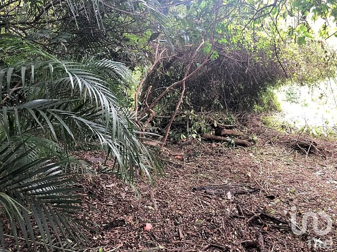 Terreno en Venta en Ahuatepec, Cuernavaca, Morelos | NEX-234252 | iad México | Foto 4 de 10