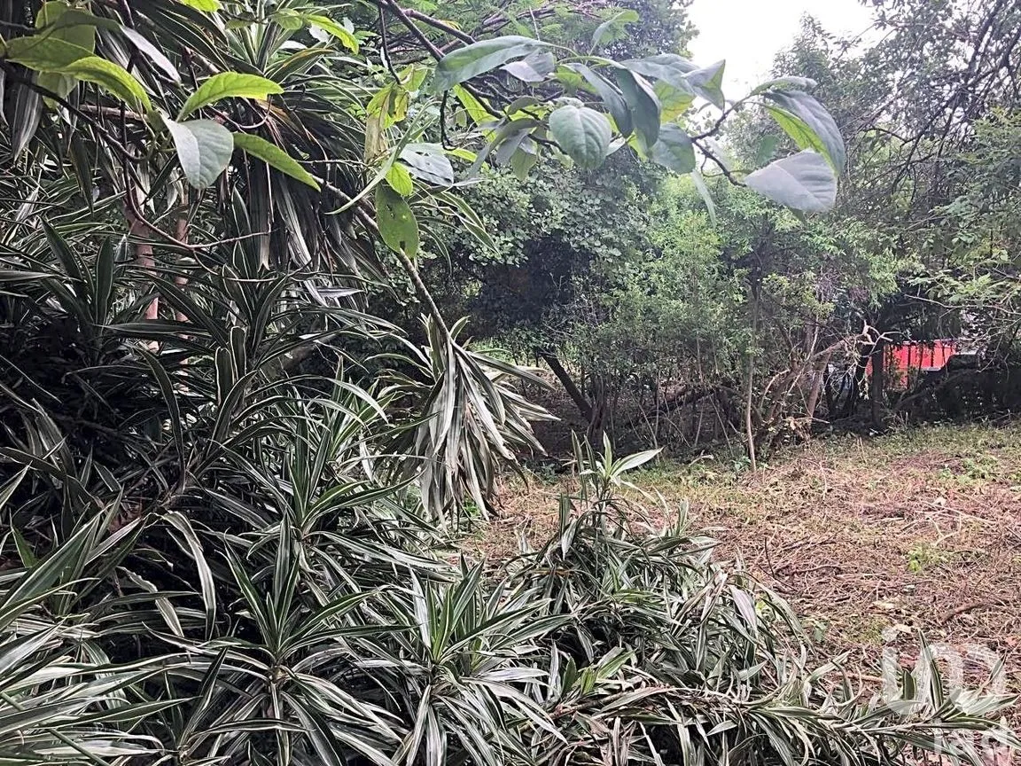 Terreno en Venta en Ahuatepec, Cuernavaca, Morelos | NEX-234252 | iad México | Foto 5 de 10