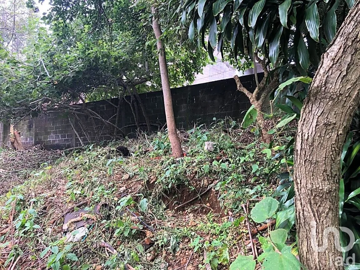 Terreno en Venta en Ahuatepec, Cuernavaca, Morelos | NEX-234252 | iad México | Foto 7 de 10