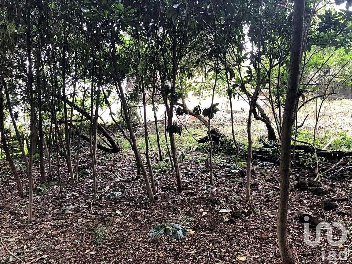 Terreno en Venta en Ahuatepec, Cuernavaca, Morelos | NEX-234252 | iad México | Foto 8 de 10