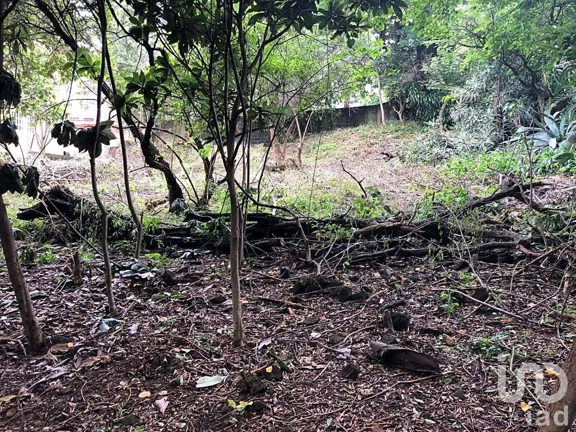 Terreno en Venta en Ahuatepec, Cuernavaca, Morelos | NEX-234252 | iad México | Foto 10 de 10