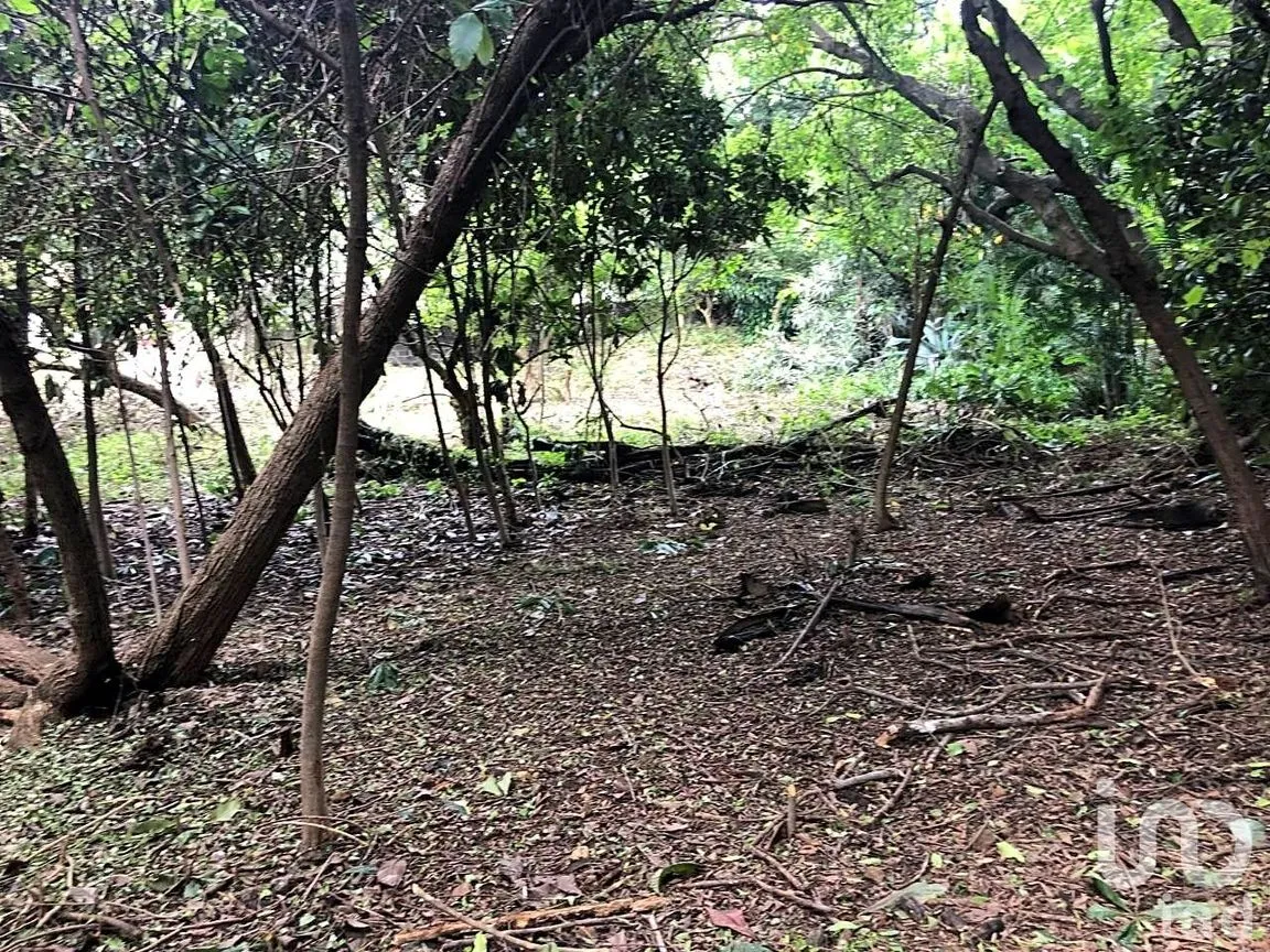 Terreno en Venta en Ahuatepec, Cuernavaca, Morelos | NEX-234252 | iad México | Foto 1 de 10
