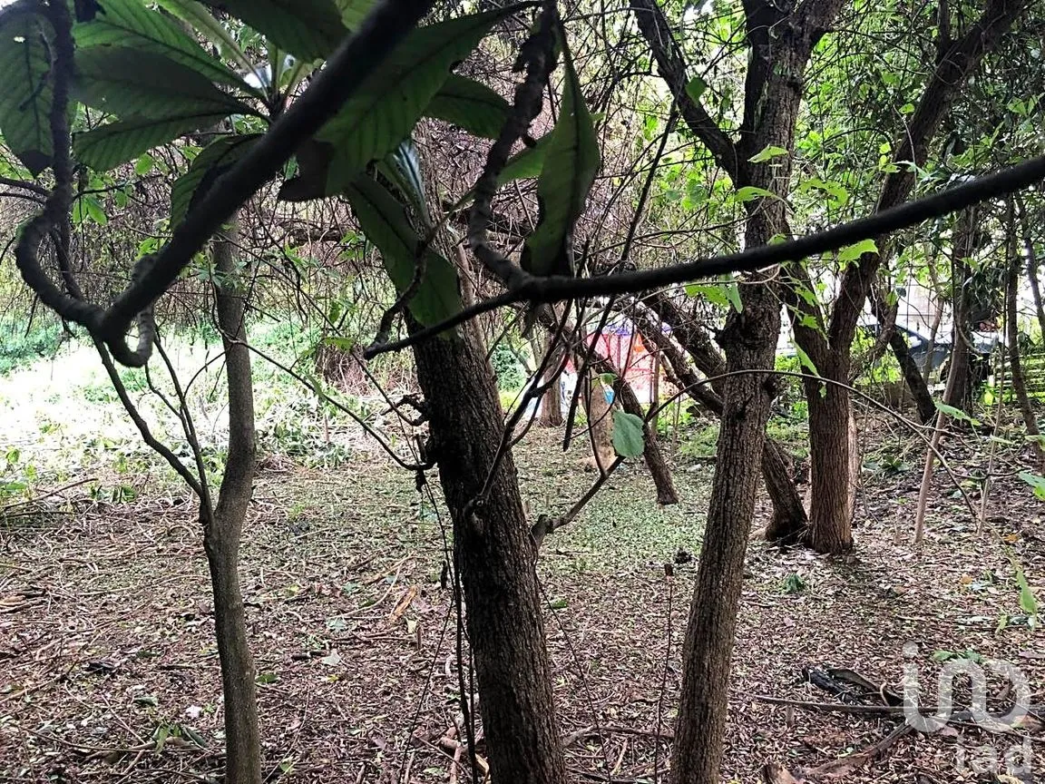 Terreno en Venta en Ahuatepec, Cuernavaca, Morelos | NEX-234252 | iad México | Foto 2 de 10