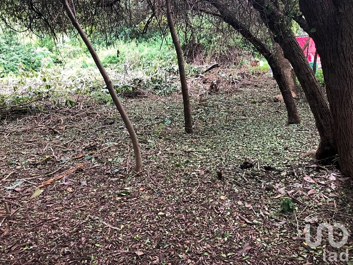 Terreno en Venta en Ahuatepec, Cuernavaca, Morelos | NEX-234252 | iad México | Foto 9 de 10