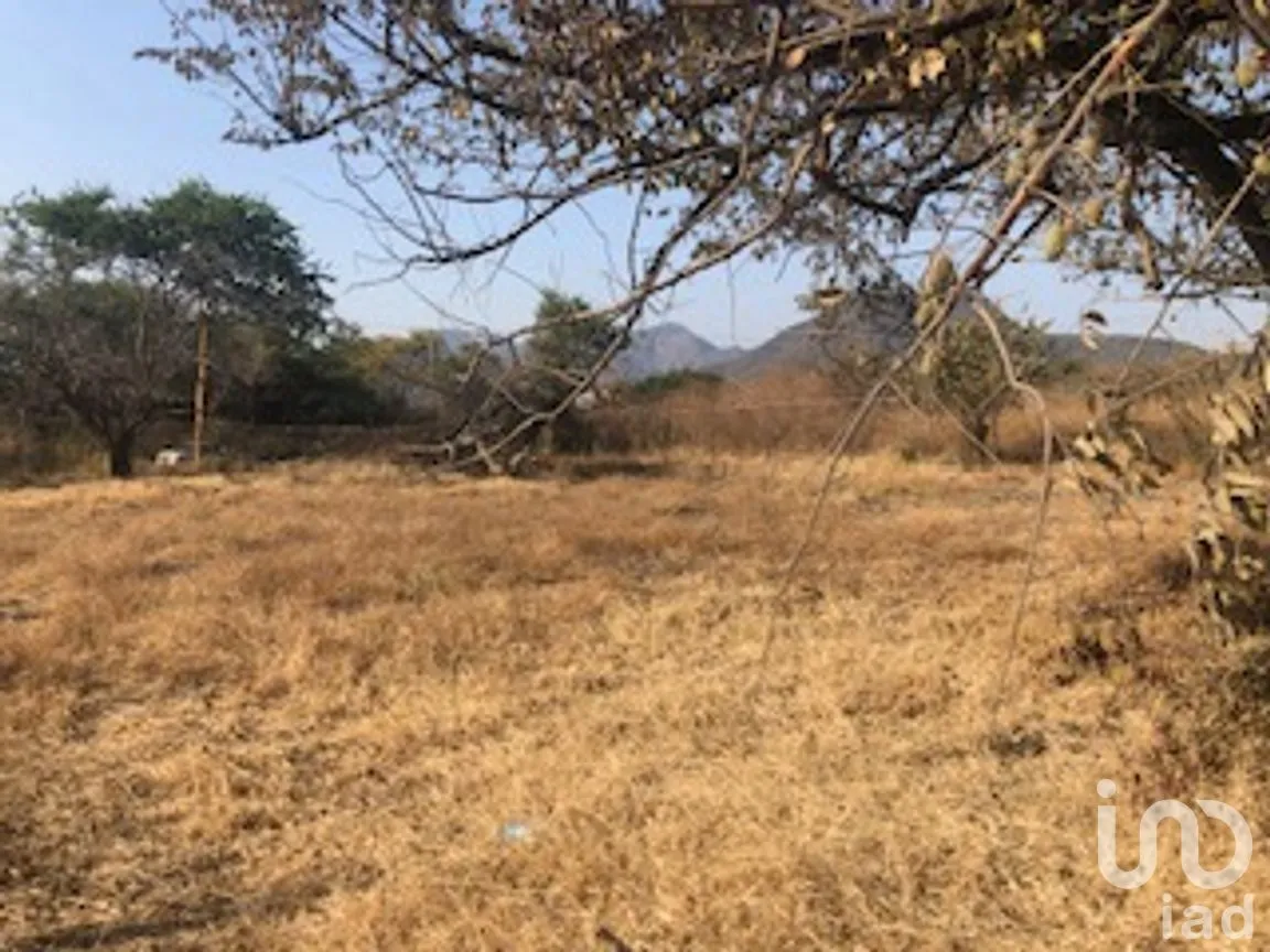 Terreno en Venta en José Ortiz (San Martín), Yautepec, Morelos | NEX-240747 | iad México | Foto 3 de 7