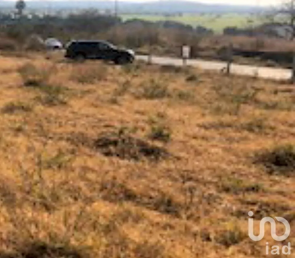 Terreno en Venta en José Ortiz (San Martín), Yautepec, Morelos | NEX-240747 | iad México | Foto 7 de 7