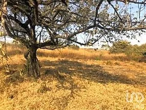 NEX-240747 - Terreno en Venta, con 1 m2 de construcción en José Ortiz (San Martín), CP 62738, Morelos.