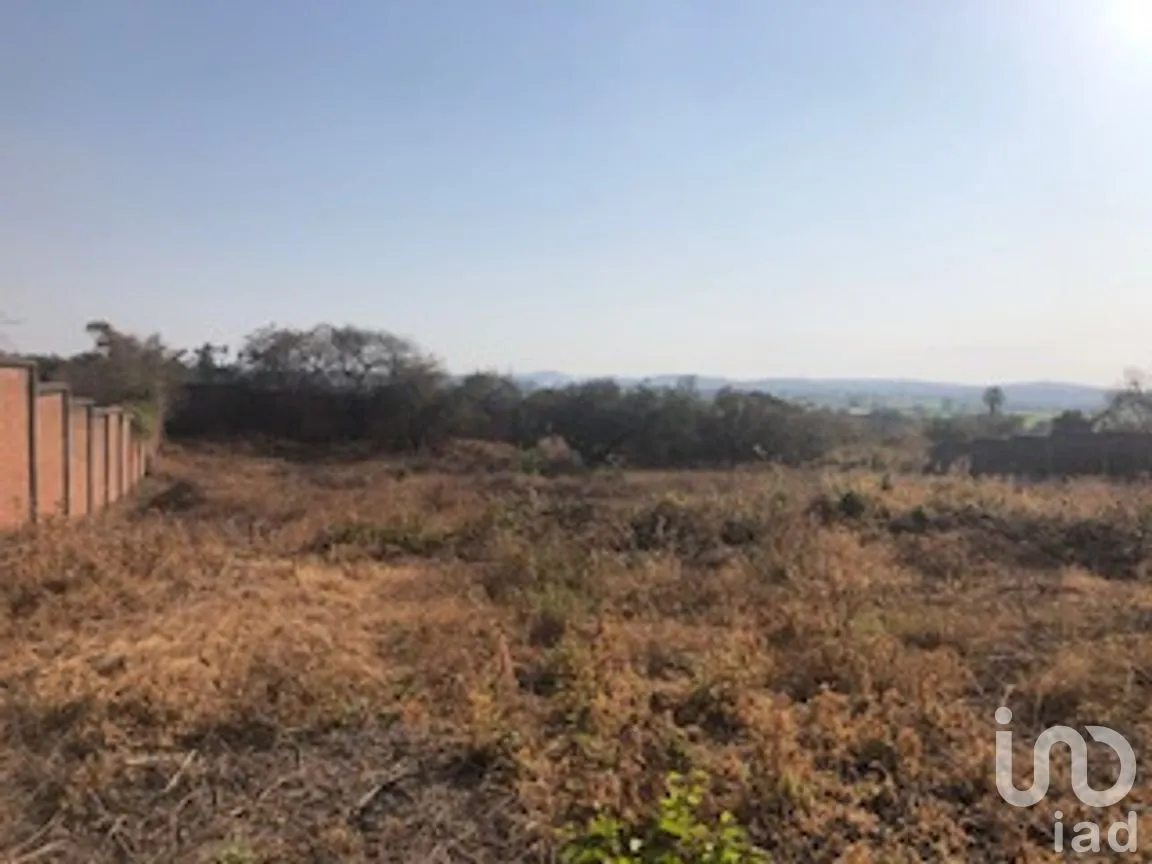 Terreno en Venta en José Ortiz (San Martín), Yautepec, Morelos | NEX-240884 | iad México | Foto 2 de 6