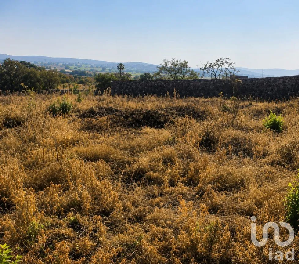 Terreno en Venta en José Ortiz (San Martín), Yautepec, Morelos | NEX-240884 | iad México | Foto 3 de 6
