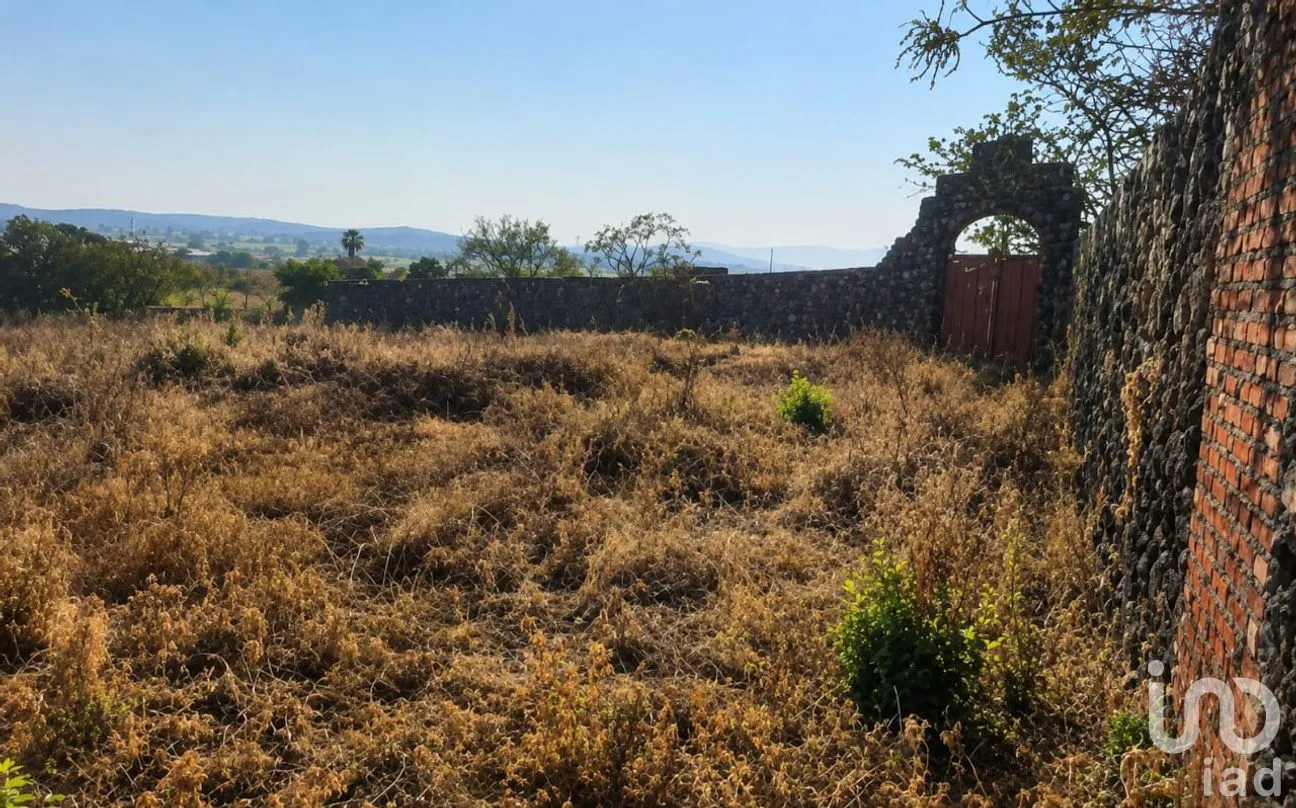 Terreno en Venta en José Ortiz (San Martín), Yautepec, Morelos | NEX-240884 | iad México | Foto 5 de 6