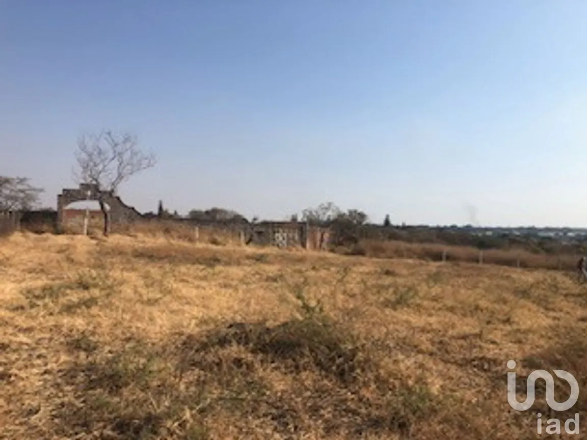 Terreno en Venta en José Ortiz (San Martín), Yautepec, Morelos | NEX-240884 | iad México | Foto 1 de 6