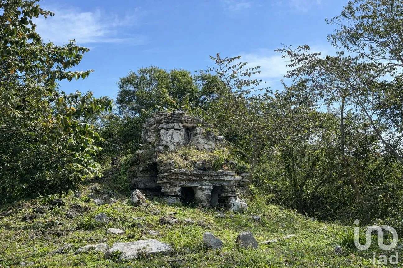 Terreno en Venta en Paa Mul, Solidaridad, Quintana Roo | NEX-265005 | iad México | Foto 3 de 7