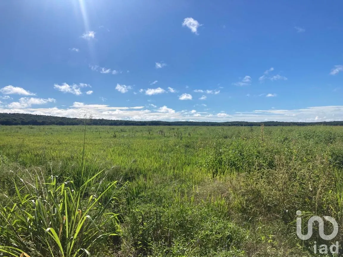 Terreno en Venta en Ojo de Agua, Carmen, Campeche | NEX-265069 | iad México | Foto 3 de 12