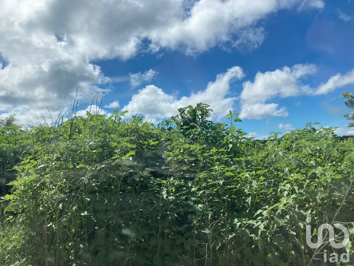 Terreno en Venta en Ojo de Agua, Carmen, Campeche | NEX-265069 | iad México | Foto 4 de 12