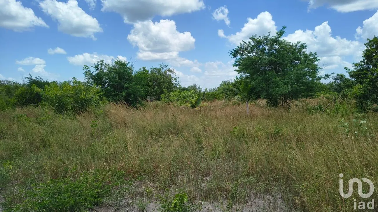Terreno en Venta en Ojo de Agua, Carmen, Campeche | NEX-265069 | iad México | Foto 5 de 12