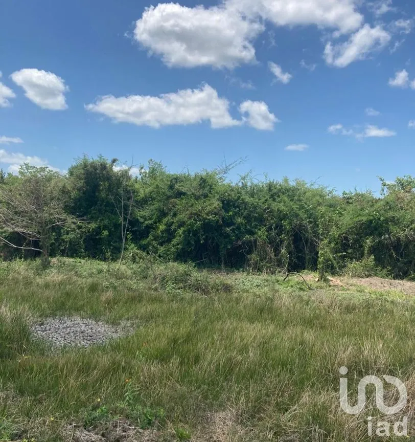Terreno en Venta en Ojo de Agua, Carmen, Campeche | NEX-265069 | iad México | Foto 10 de 12