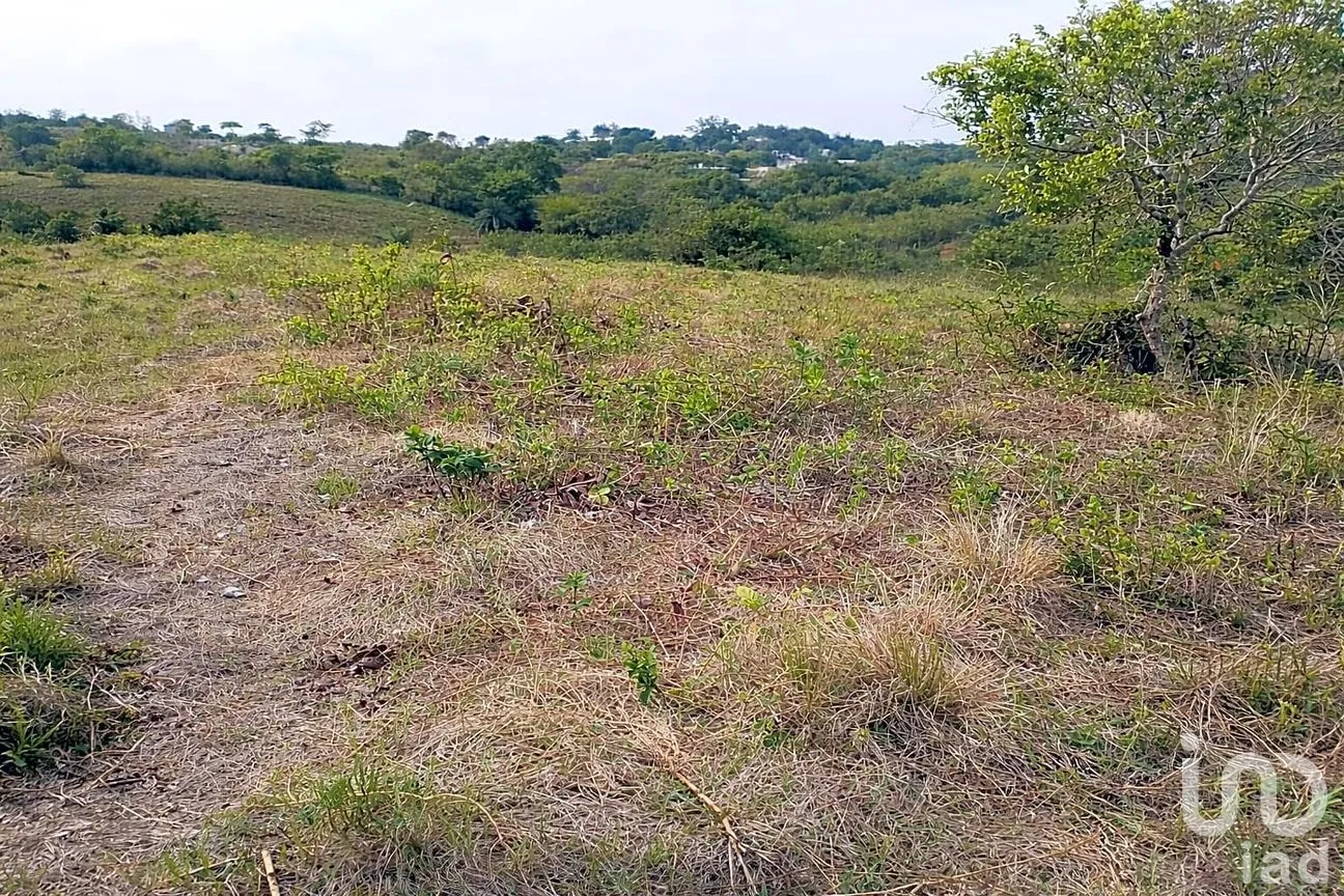Terreno en Venta en Balcazar, Tamiahua, Veracruz de Ignacio de la Llave | NEX-265562 | iad México | Foto 3 de 6