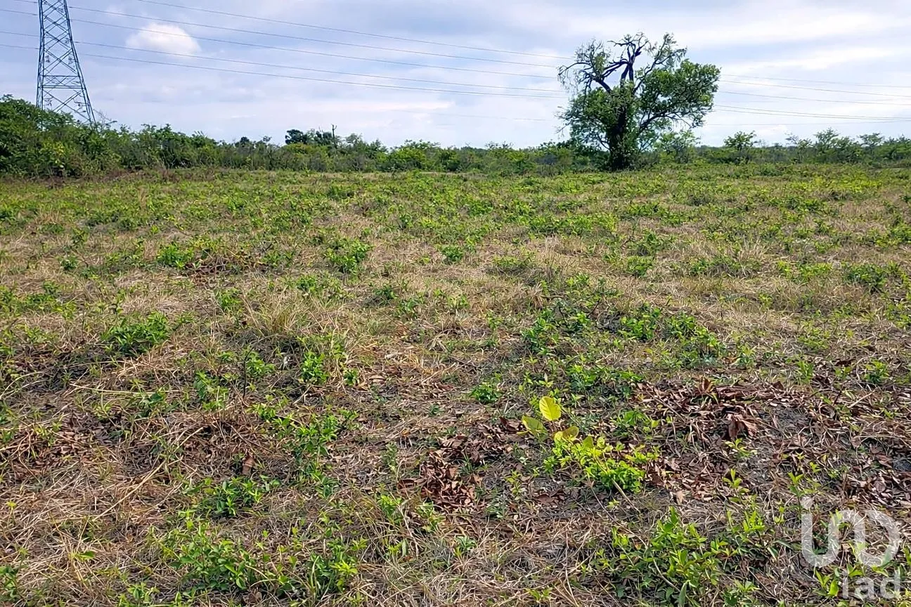 Terreno en Venta en Balcazar, Tamiahua, Veracruz de Ignacio de la Llave | NEX-265562 | iad México | Foto 4 de 6