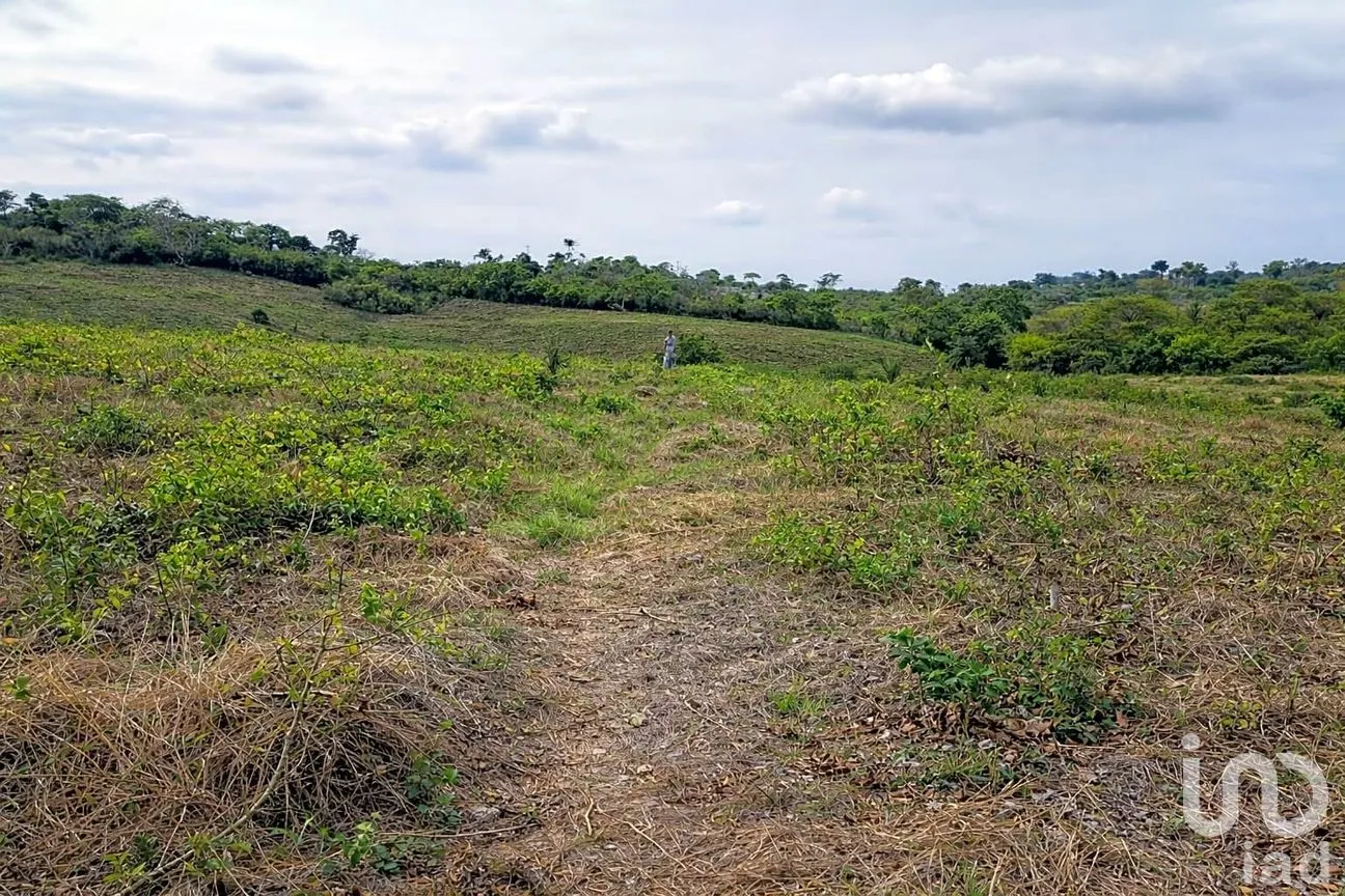 Terreno en Venta en Balcazar, Tamiahua, Veracruz de Ignacio de la Llave | NEX-265562 | iad México | Foto 6 de 6