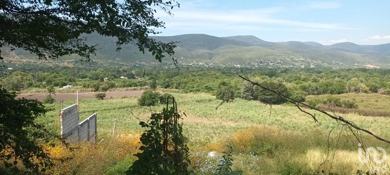 Terreno en Venta en Bonifacio García (Colonia Alejandra), Tlaltizapán de Zapata, Morelos | NEX-293311 | iad México | Foto 2 de 8