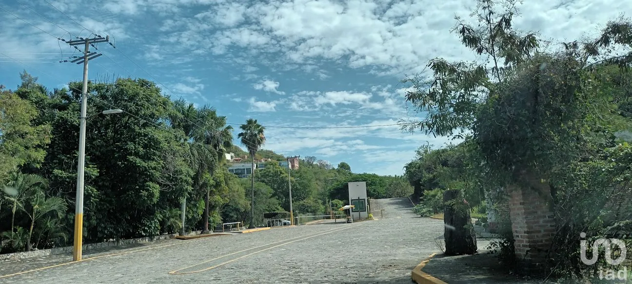 Terreno en Venta en Bonifacio García (Colonia Alejandra), Tlaltizapán de Zapata, Morelos | NEX-293311 | iad México | Foto 3 de 8