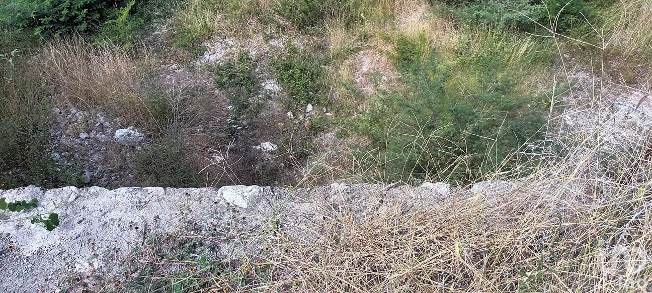 Terreno en Venta en Bonifacio García (Colonia Alejandra), Tlaltizapán de Zapata, Morelos | NEX-293311 | iad México | Foto 6 de 8