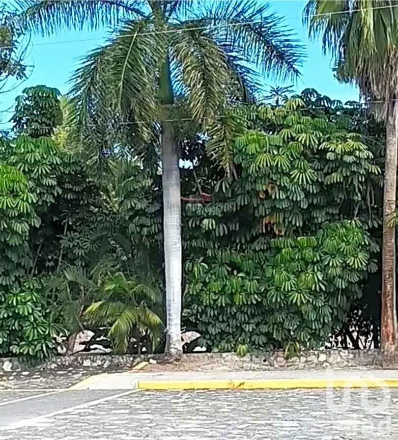 Terreno en Venta en Bonifacio García (Colonia Alejandra), Tlaltizapán de Zapata, Morelos | NEX-293311 | iad México | Foto 8 de 8