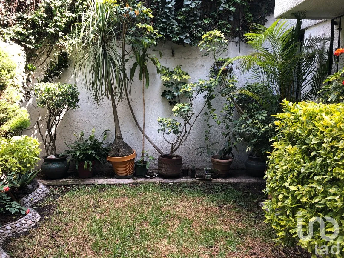 Casa en Venta en Belisario Domínguez, Tlalpan, Ciudad de México | NEX-213445 | iad México | Foto 23 de 47