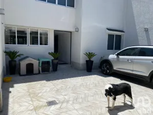 NEX-182864 - Casa en Renta, con 3 recamaras, con 3 baños, con 280 m2 de construcción en Tepeyac Insurgentes, CP 07020, Ciudad de México.