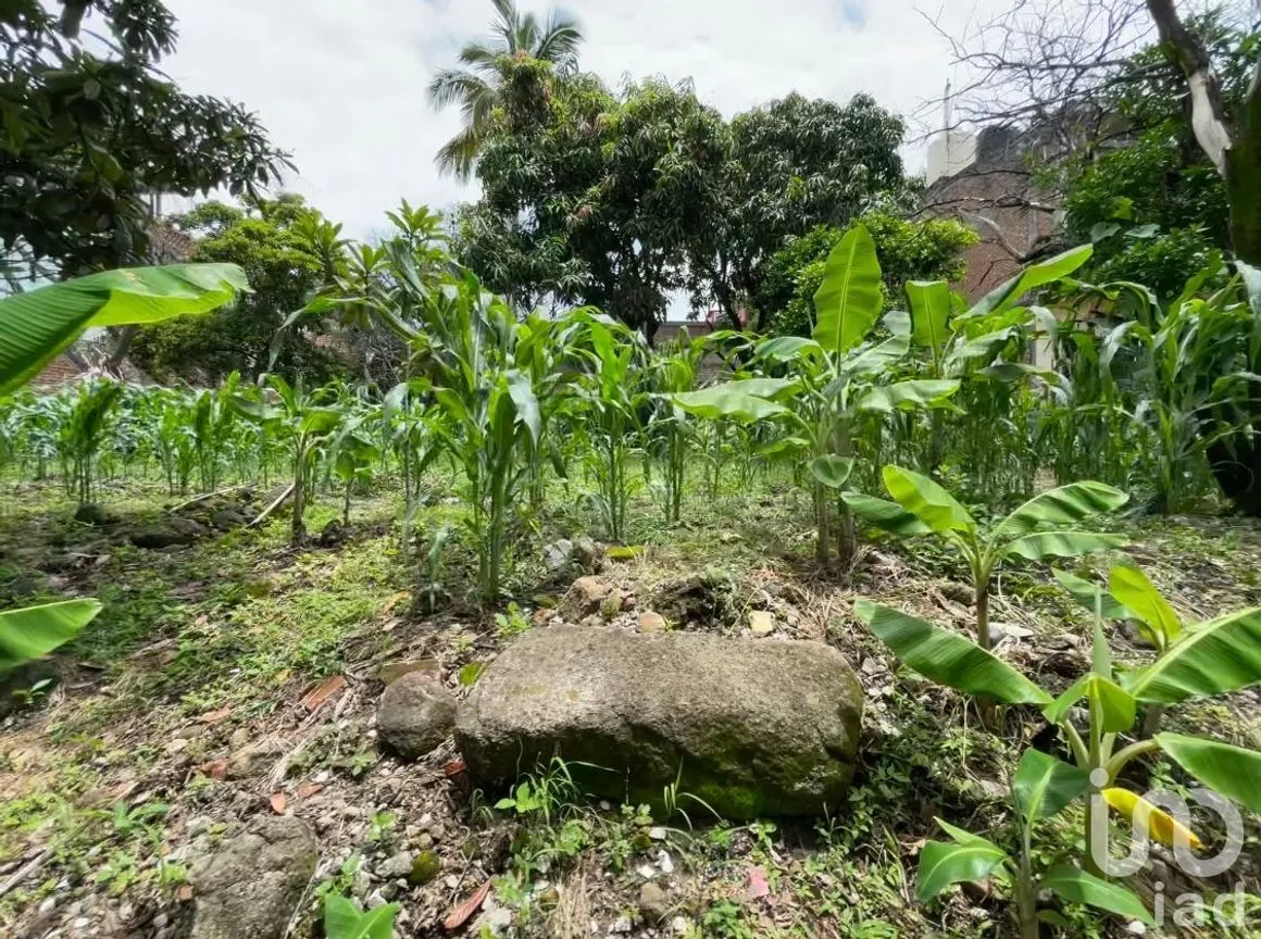 Casa en Venta en Alta Palmira, Temixco, Morelos | NEX-216878 | iad México | Foto 13 de 14