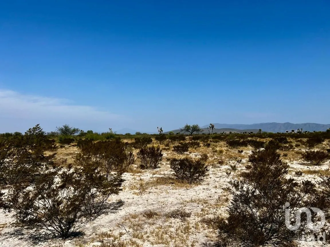 Terreno en Venta en Villa Hidalgo Centro, Villa Hidalgo, San Luis Potosí | NEX-250901 | iad México | Foto 6 de 9