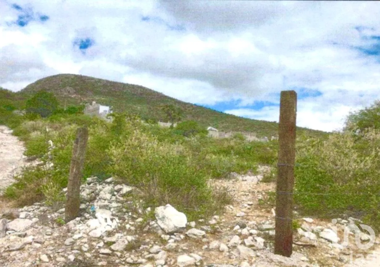 Terreno en Venta en Villa Hidalgo Centro, Villa Hidalgo, San Luis Potosí | NEX-250902 | iad México | Foto 2 de 4