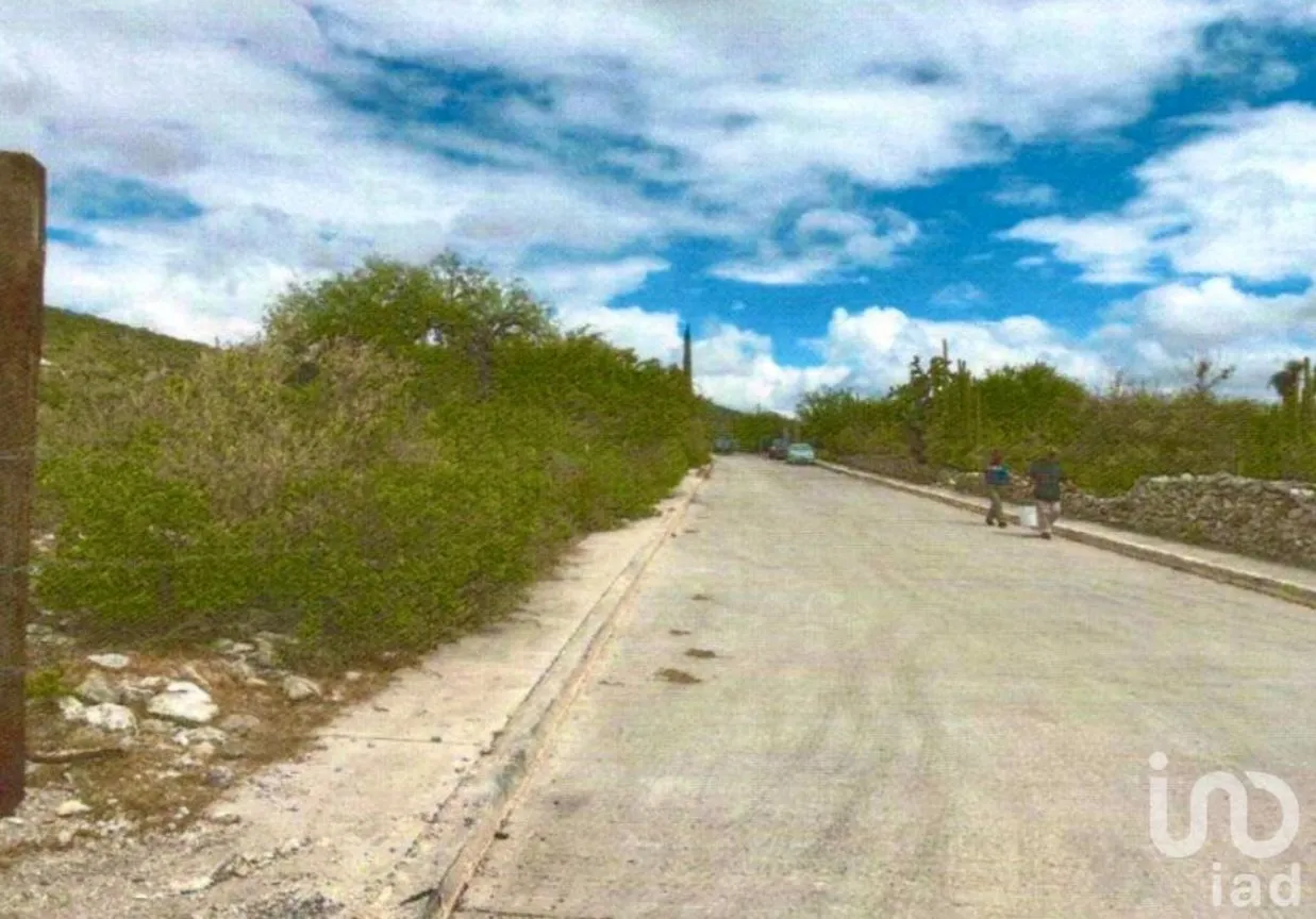 Terreno en Venta en Villa Hidalgo Centro, Villa Hidalgo, San Luis Potosí | NEX-250902 | iad México | Foto 3 de 4